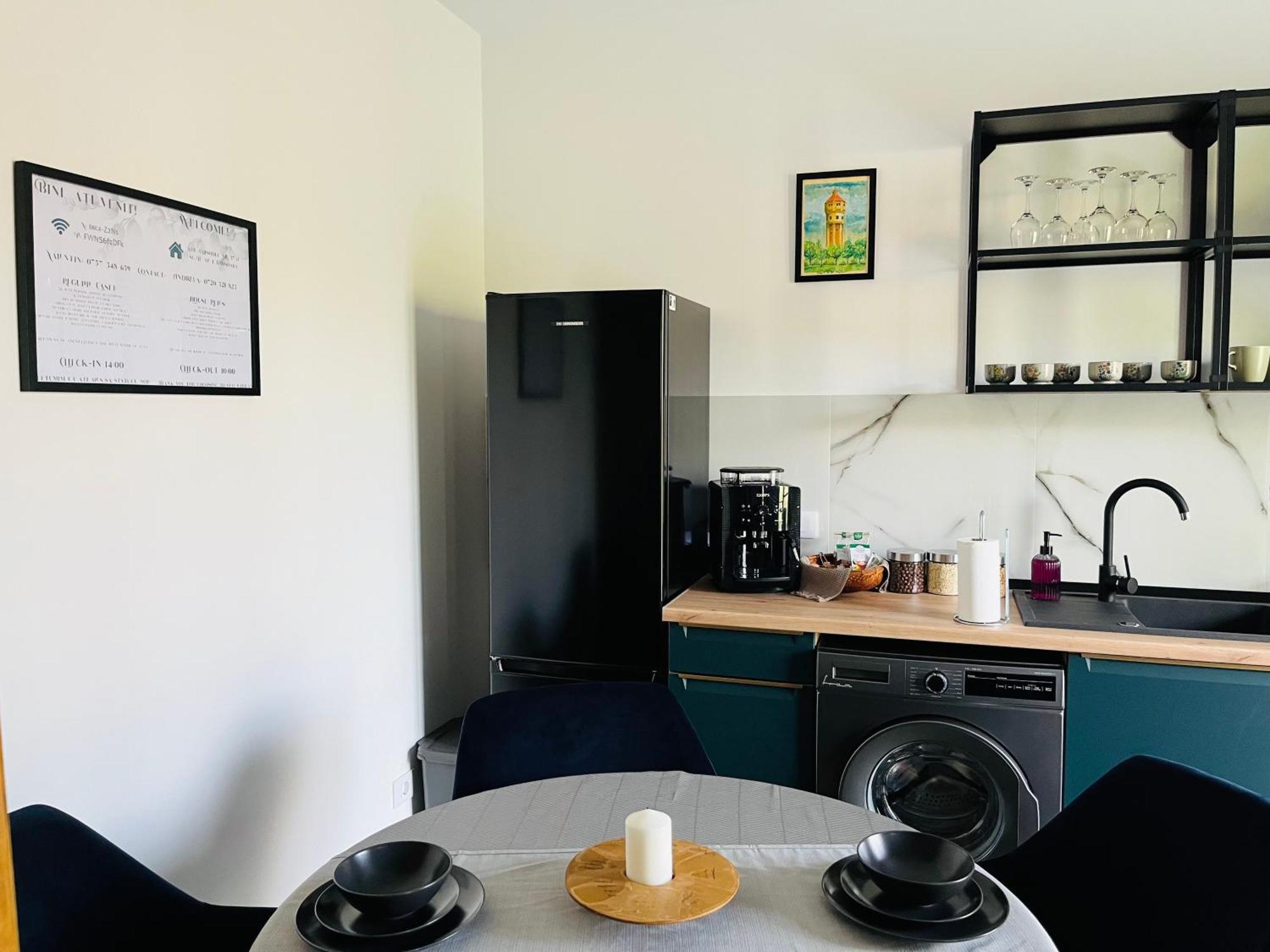 Apartament Studio Bian Timisoara Bagian luar foto