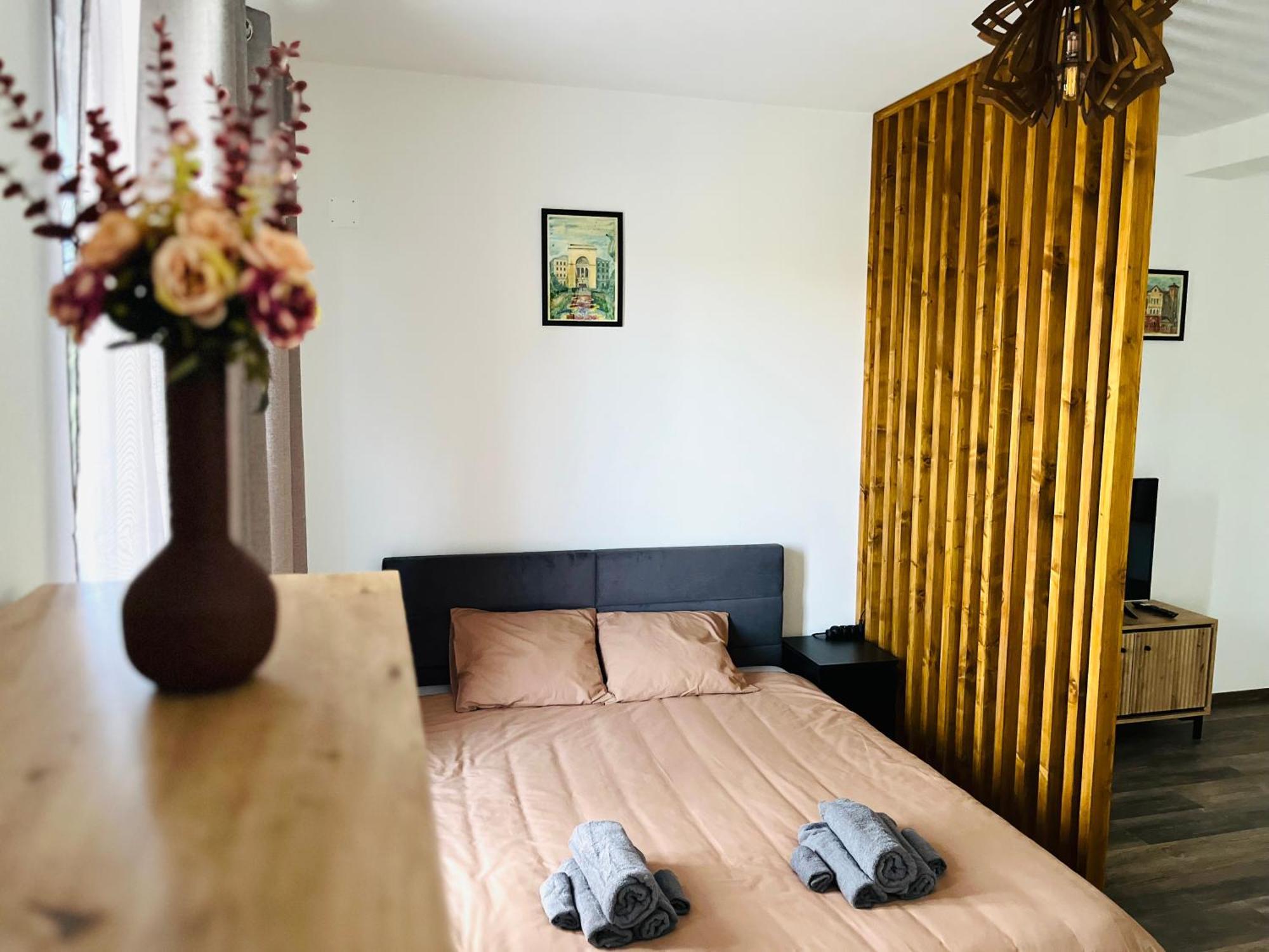 Apartament Studio Bian Timisoara Bagian luar foto