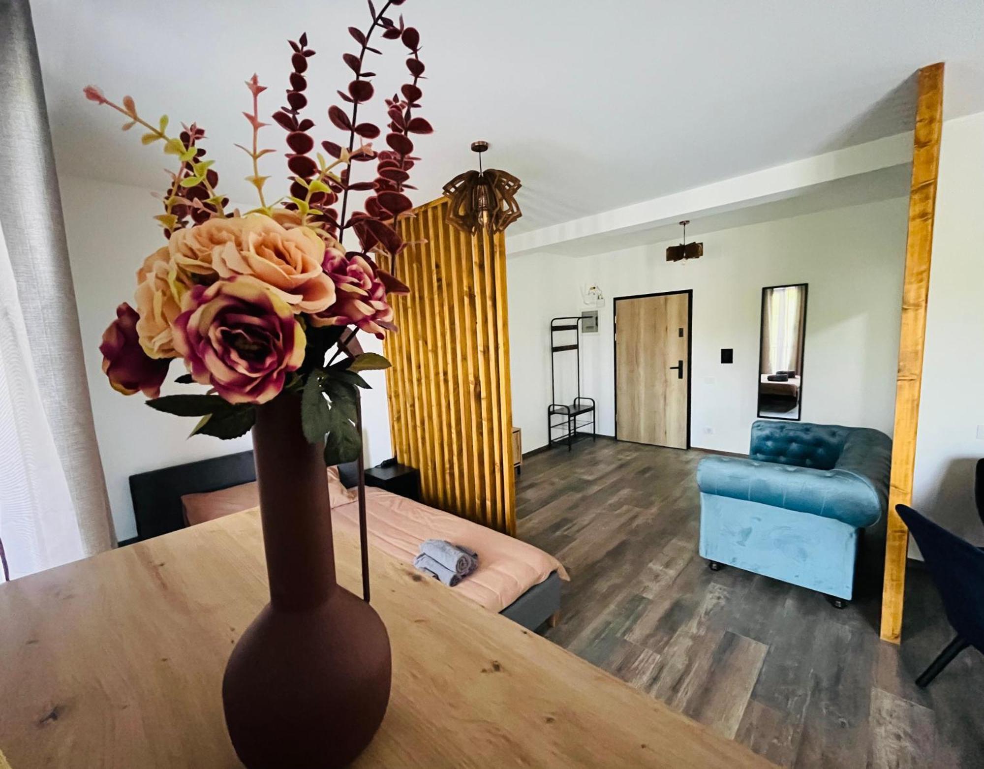 Apartament Studio Bian Timisoara Bagian luar foto