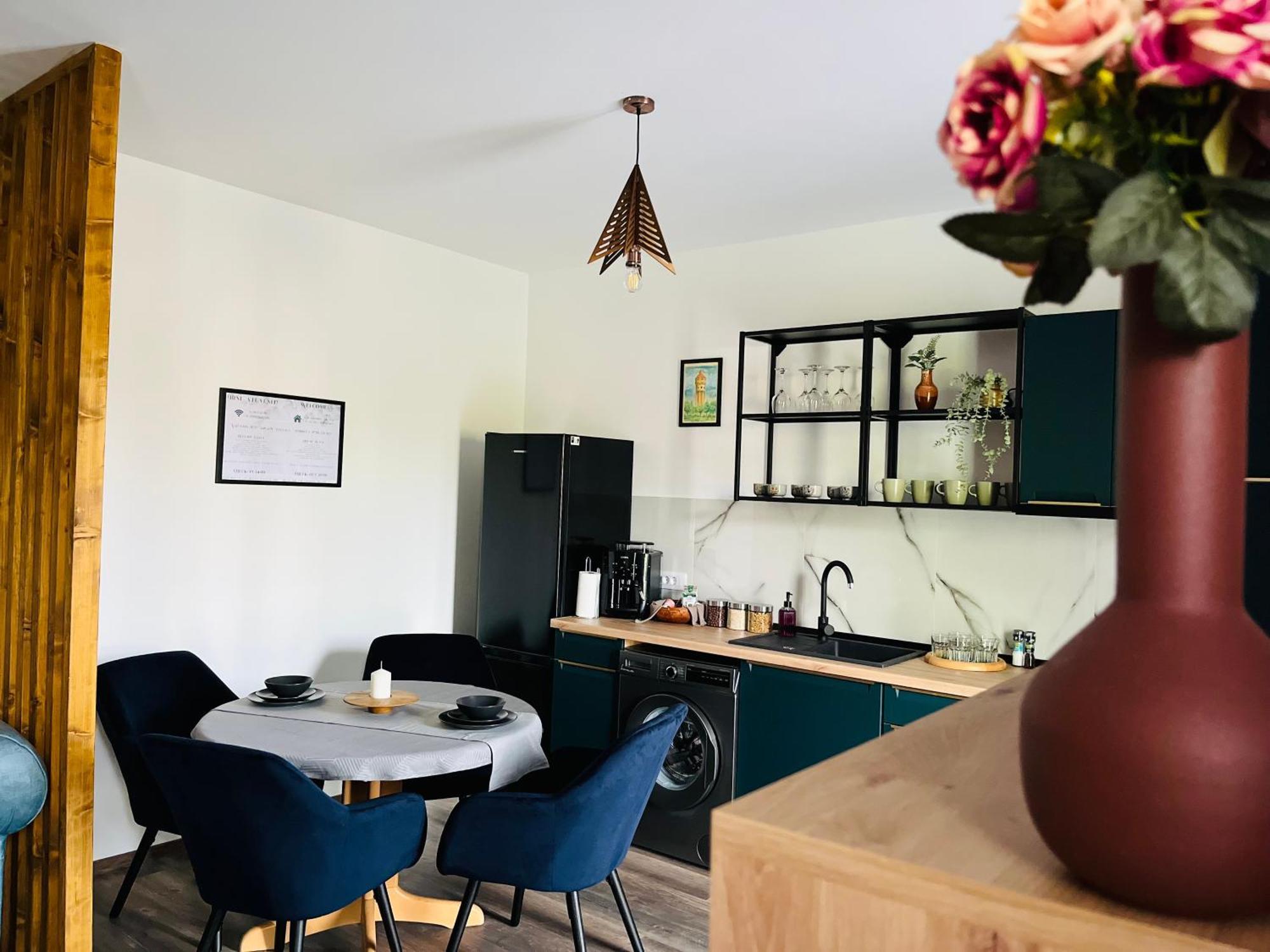 Apartament Studio Bian Timisoara Bagian luar foto